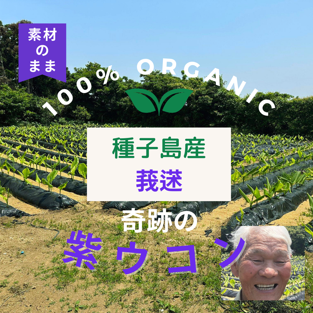 奇跡の紫ウコン:3個セット【送料無料】
